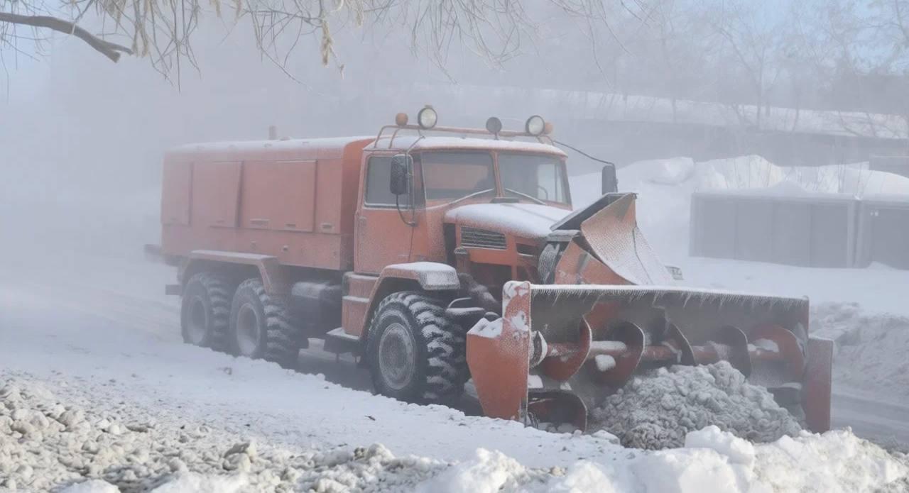 Фото В Новосибирск пришли аномальные морозы: 10 фото, от которых стынет кровь 10